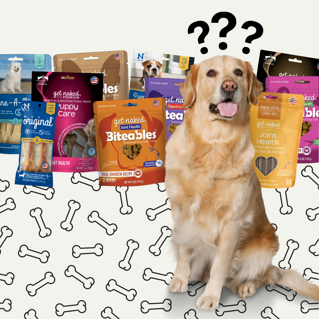 Best and shop worst dog treats