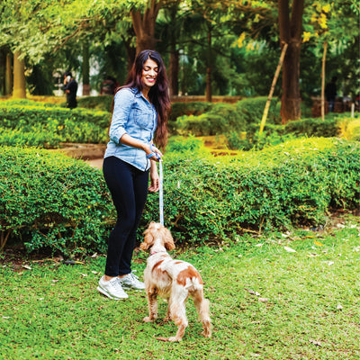 puppy training tips treats rewards