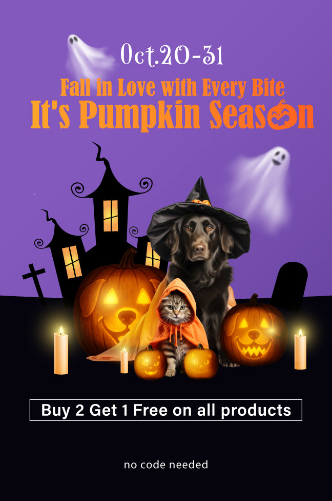 Halloween-themed promotional poster with a dog and cat in costumes, pumpkins, and haunted house silhouette.