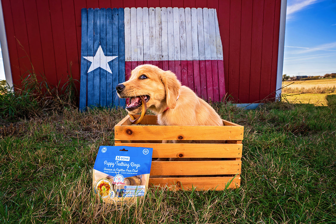 N-Bone Puppy Teething Rings Taste of Texas Queso Con Carne Flavor