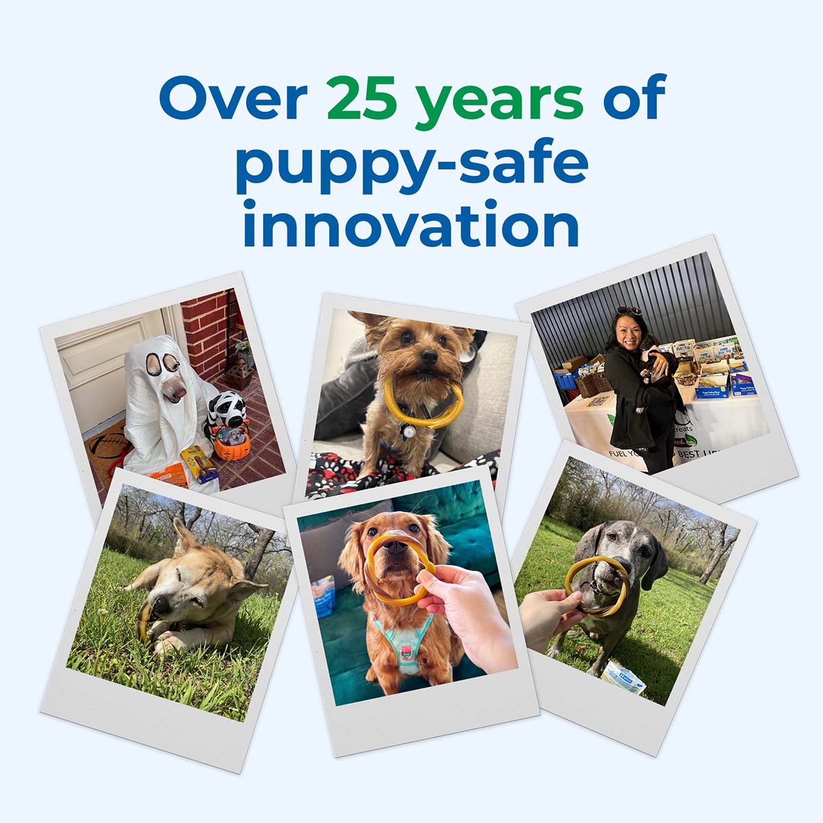 Collage of dogs with a focus on safety products, celebrating over 25 years of puppy-safe innovation.
