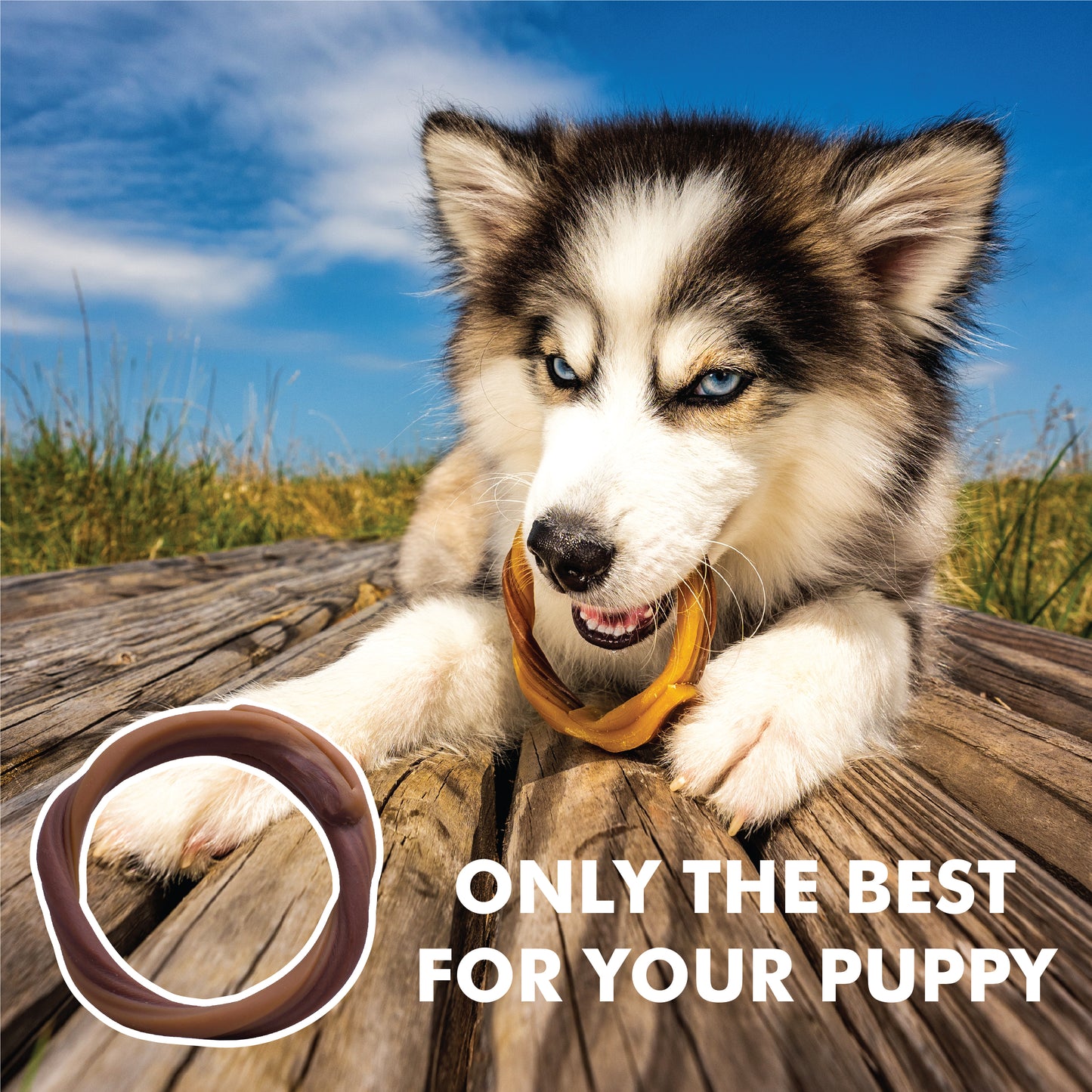 N-Bone® Puppy Teething Rings Peanut Butter Flavor, Dried Chews for Dogs, 6-count Bag x 3, Value Pack - Natural Puppy Chew Toys Alternative for Teething Discomfort - for Dogs of All Sizes