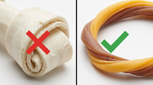 Hidden Danger in the Toy Box: Is Your "Indestructible" Chew Breaking Your Puppy’s Teeth?