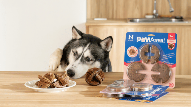 Dogs Need More Than Exercise: They Need Mental Stimulation Too!