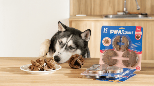 Dogs Need More Than Exercise: They Need Mental Stimulation Too!
