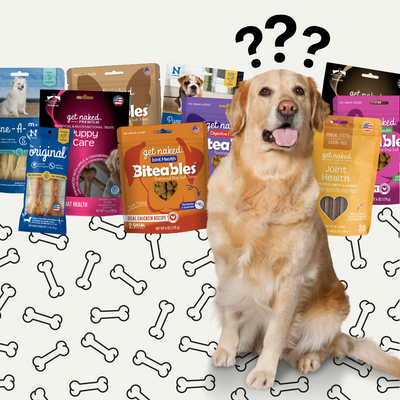 Choosing the Best Treats for Your Dog
