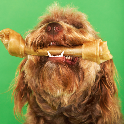 Is Rawhide Good & Safe for Dogs?