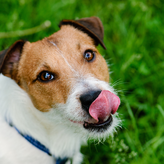 Treating Do’s & Don’ts