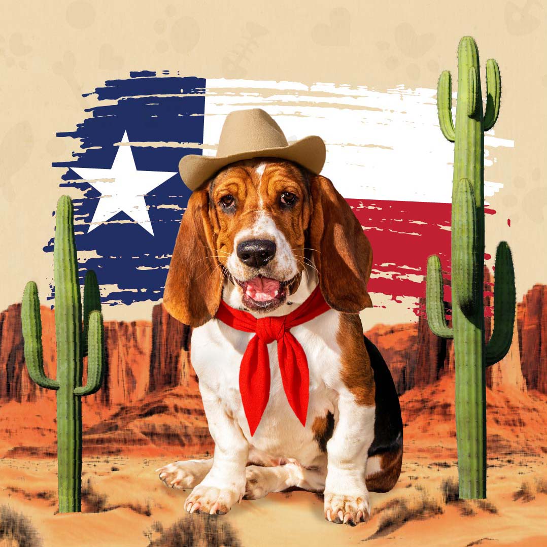 Everything’s Bigger in Texas — Including Our Inspiration