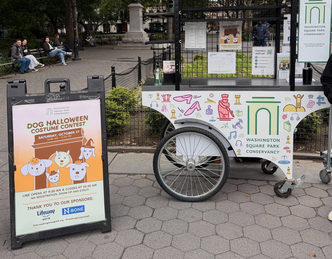 Costumed dogs gathering at Garibaldi Plaza for the Halloween Dog Contest. Photo via Washington Square Park Conservancy (@washingtonsquarepk)