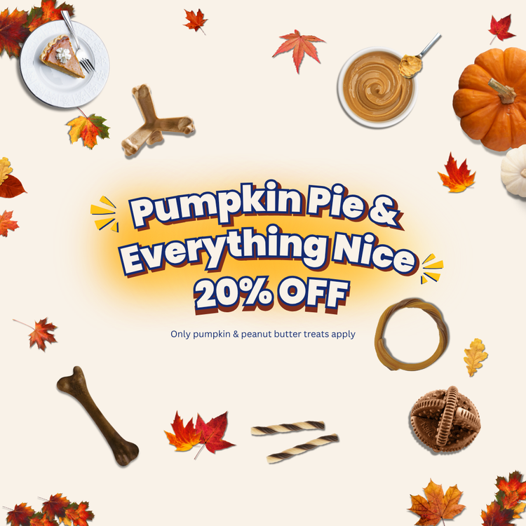 Pumpkin Pie & Something Nice
