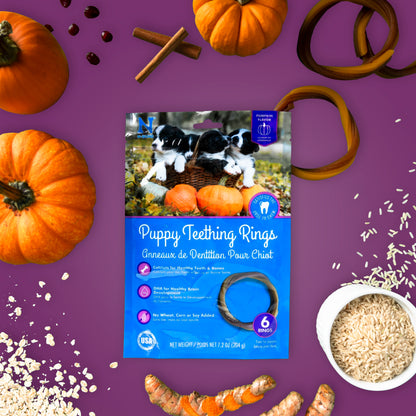 N-Bone® Puppy Teething Rings Pumpkin Flavor, Dried Chews for Dogs, 6-count Bag x 3, Value Pack - Natural Puppy Chew Toys Alternative for Teething Discomfort - for Dogs of All Sizes