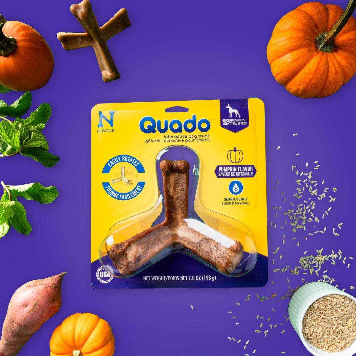 N-Bone® Quado® Interactive Dried Dog Chew Bone, Pumpkin Flavor - Natur ...