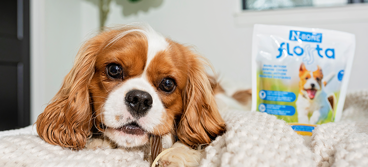 Natural pet discount treats