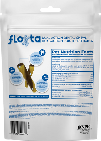 N-Bone Flossta Dual-Action Dental Chews Pumpkin flavor