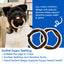 N-Bone Puppy Teething Rings 3 Count Bag Variety Pack, Taste of Texas Tex Mex, Total 2 Bags, 7.2-oz, 6 Rings