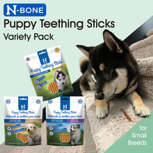 N-Bone Puppy Teething Sticks Variety Pack with a dog on a light green background