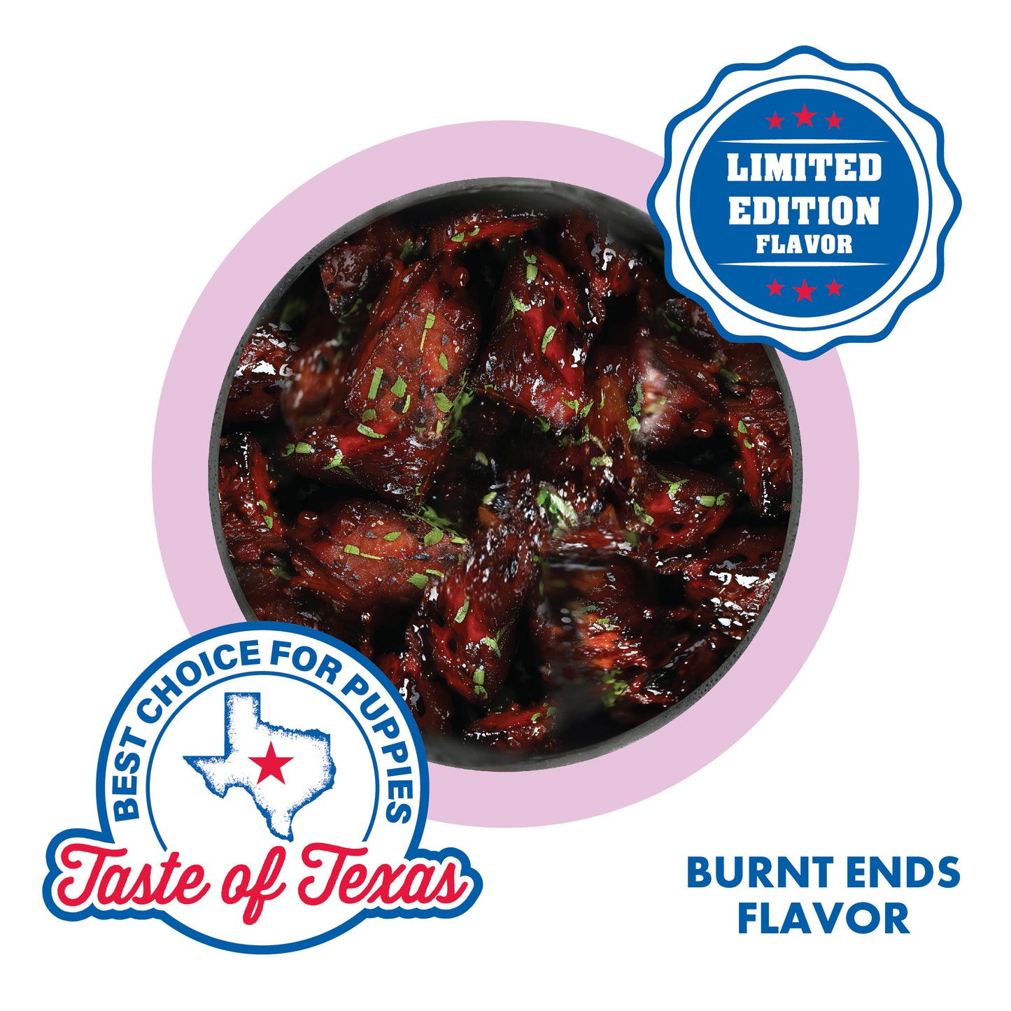 N-Bone Puppy Teething Rings Taste of Texas Burnt Ends Flavor