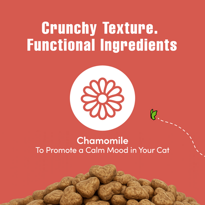 Get Naked® Calming Health Functional Crunchy Treats for Cats, Salmon & Cheese Flavor