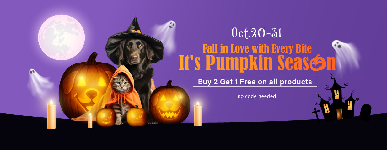 Halloween-themed promotional banner with a dog in a witch hat, pumpkin, and ghost decorations on a purple background.