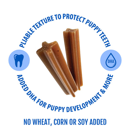 N-Bone Jumbo Puppy Teething Sticks Variety Pack, Chicken & Peanut Butter & Pumpkin Flavor, Total 3 Bags, 21.84-oz, 21 sticks