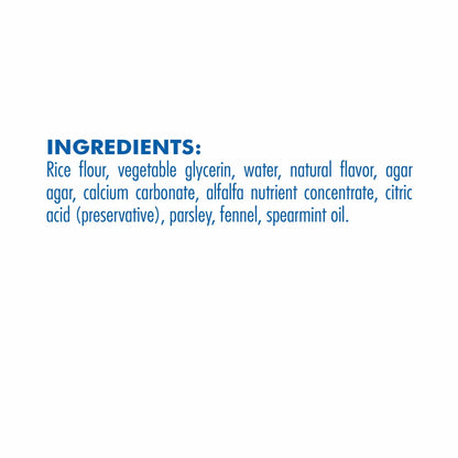 N-Bone Flossta Dual-Action Dental Chews Mint Flavor