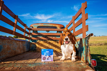 N-Bone® Puppy Teething Rings Burnt Ends & Pulled Pork Flavor, Dried Chews for Dogs, 3-count Bag x 2, Variety Pack - Natural Puppy Chew Toys Alternative for Teething Discomfort - for Dogs of All Sizes