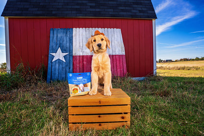 N-Bone Puppy Teething Rings Taste of Texas Queso Con Carne Flavor