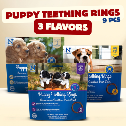 N-Bone® Puppy Teething Rings Variety Pack - Chicken, Peanut Butter & Pumpkin (3 Bags, 9 Count)