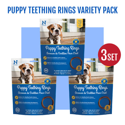 N-Bone Puppy Teething Rings 6 Count Bag Multi Pack, Chicken Flavor, Total 3 Bags, 21.6-oz, 18 Rings