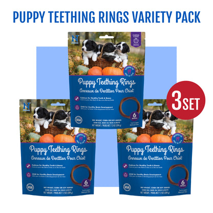 N-Bone® Puppy Teething Rings Pumpkin Flavor, Dried Chews for Dogs, 6-count Bag x 3, Value Pack - Natural Puppy Chew Toys Alternative for Teething Discomfort - for Dogs of All Sizes