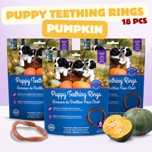 N-Bone® Puppy Teething Rings Value Pack - Pumpkin Flavor (3 Bags, 18 Count)