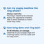 Text answering questions about a dog chew ring on a blue background