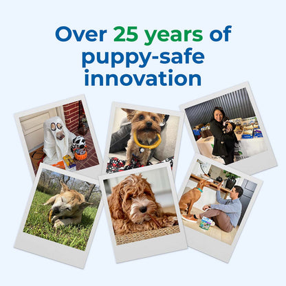 Collage of dogs and people with text 'Over 25 years of puppy-safe innovation' on a light blue background.