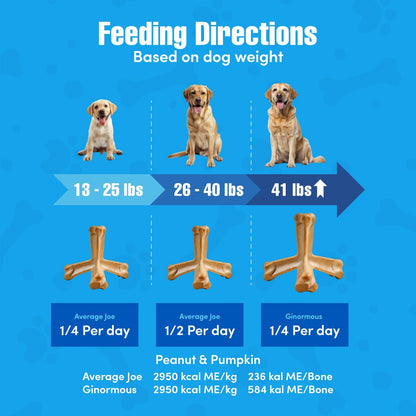 N-Bone® Quado® Interactive Dried Dog Chew Bone Average Joe Variety Pack, Peanut + Pumpkin + BBQ + Bacon, Total 4 bags