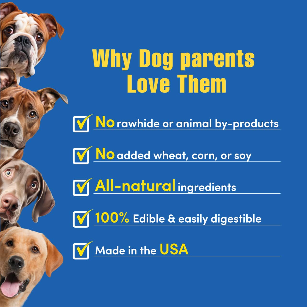 N-Bone® Quado® Interactive Dried Dog Chew Bone, Peanut Flavor - Natural, Edible, 100% Digestible Alternative to Plastic Chew Toys - Made in the USA