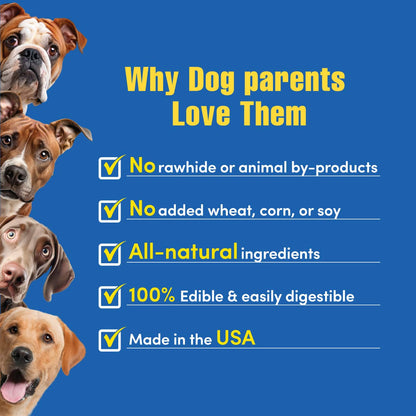 N-Bone® Quado® Interactive Dried Dog Chew Bone Average Joe Variety Pack, Peanut + Pumpkin + BBQ + Bacon, Total 4 bags