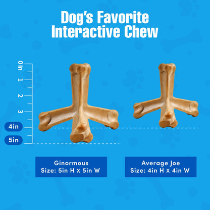 N-Bone® Quado® Interactive Dried Dog Chew Bone Average Joe Variety Pack, Peanut + Pumpkin + BBQ + Bacon, Total 4 bags