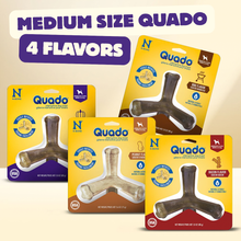 N-Bone® Quado® Interactive Dog Bone Chew Medium Size Variety Pack - Peanut Butter, Pumpkin, BBQ & Bacon (4 bags)