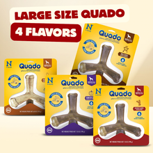 N-Bone® Quado® Interactive Dog Bone Chew Ginormous Variety Pack - Peanut, Pumpkin, BBQ & Bacon (4 Bags)