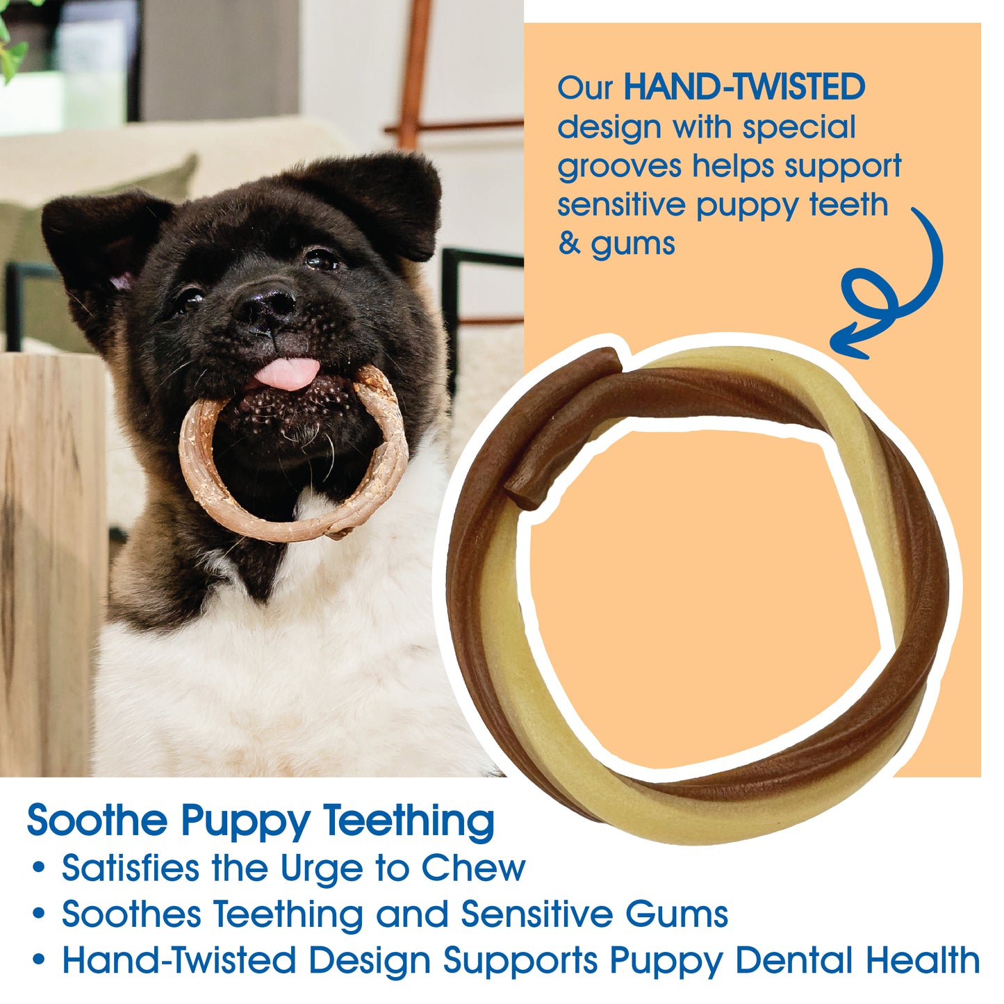 N-Bone Puppy Teething Rings Taste of Texas Queso Con Carne Flavor