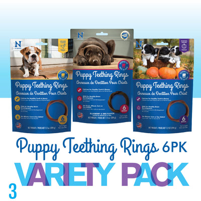 N-Bone Puppy Teething Rings 6 Count Bag Variety Pack, Chicken & Blueberry & Pumpkin Flavor, Total 3 Bags, 21.6-oz, 18 Rings