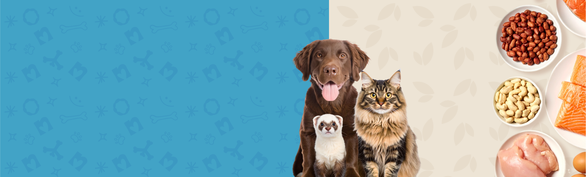 Joyful Moments & Honest Ingredients