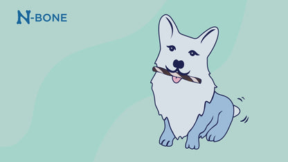 N-Bone Flossta Dual-Action Dental Chews Pumpkin flavor