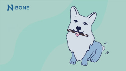 N-Bone Flossta Dual-Action Dental Chews Peanut Butter Flavor