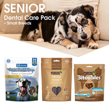 Dog lying on a couch with senior dental care products displayed below.