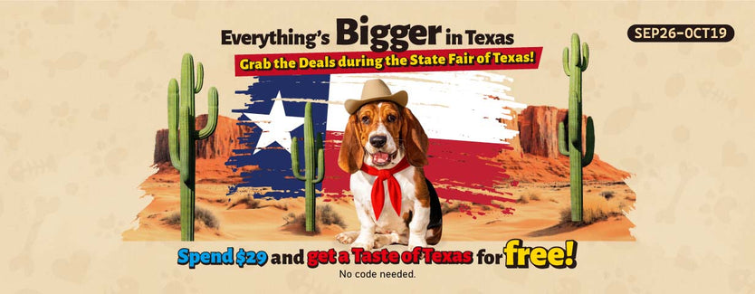 Promotional banner for the State Fair of Texas with a dog in a cowboy hat and cacti.