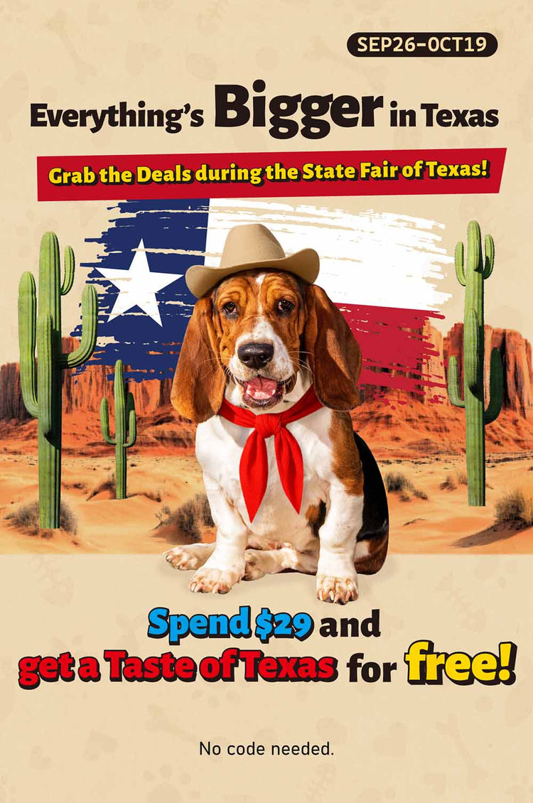 Promotional poster for the State Fair of Texas with a dog wearing a cowboy hat and scarf, surrounded by desert landscape and American flag.