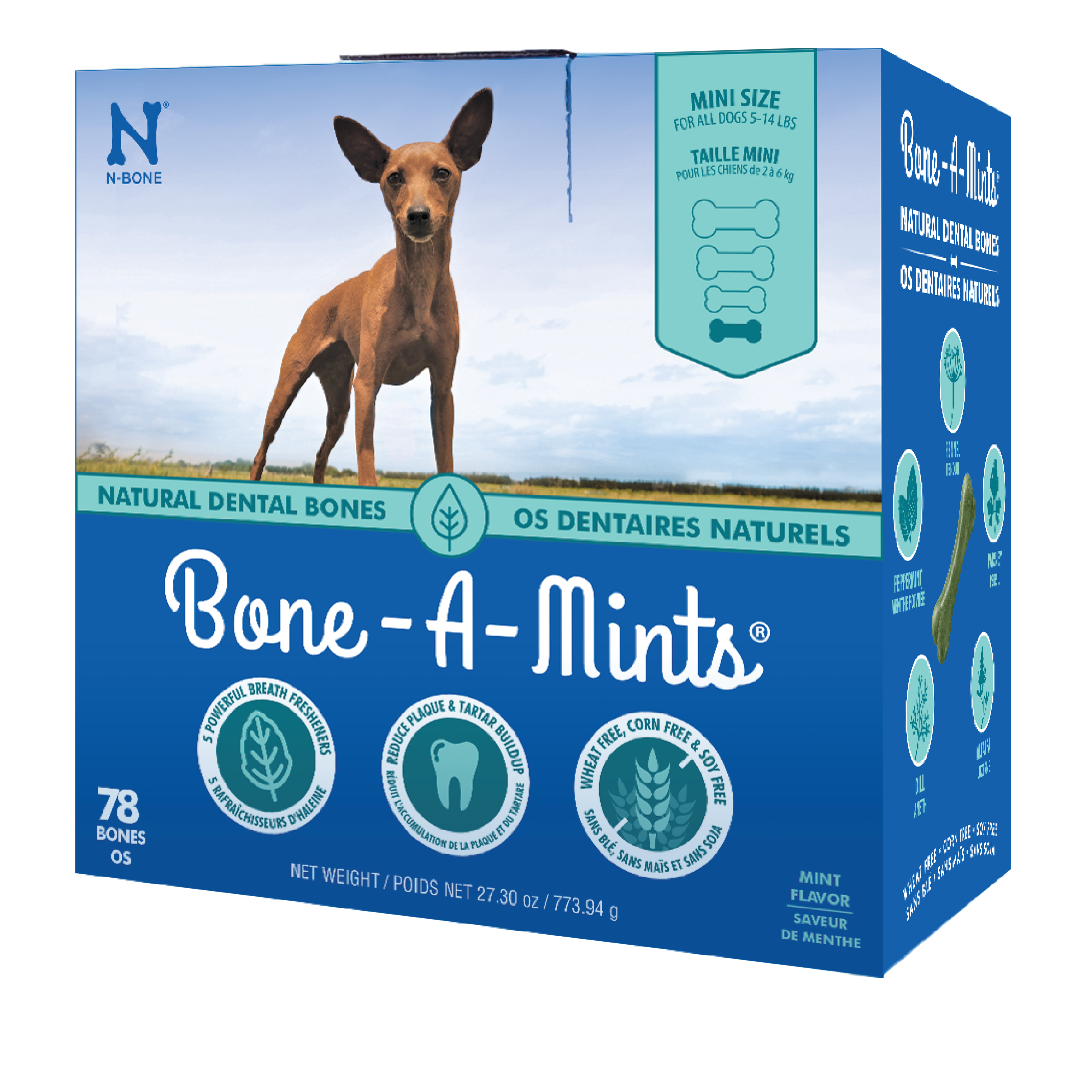 N Bone Bone A Mints Mini Natural Dental Bones npicpet