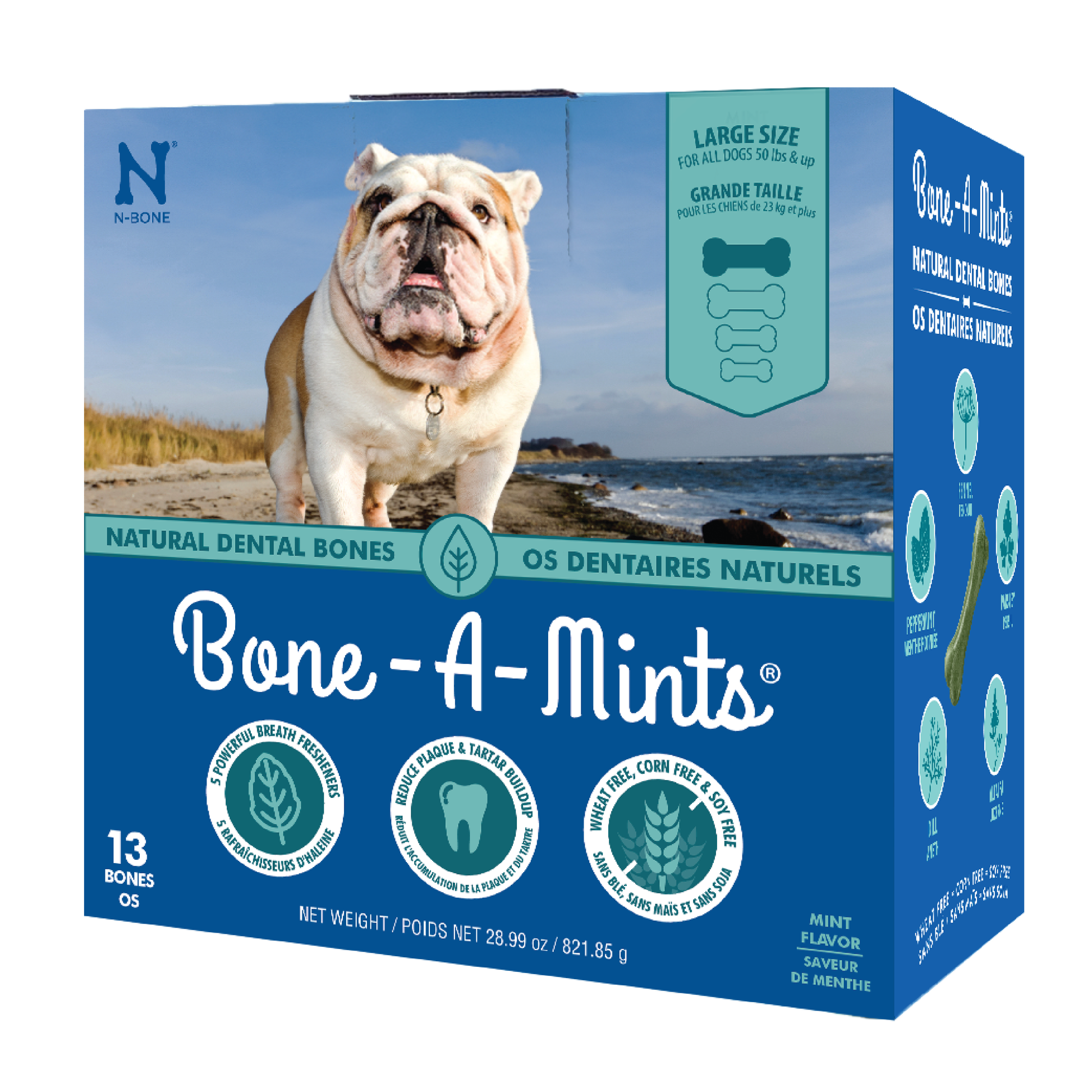 N Bone Bone A Mints Large Natural Dental Bones npicpet